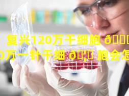 复兴120万干细胞 🐒 （120万一针干细 🦈 胞会怎样）